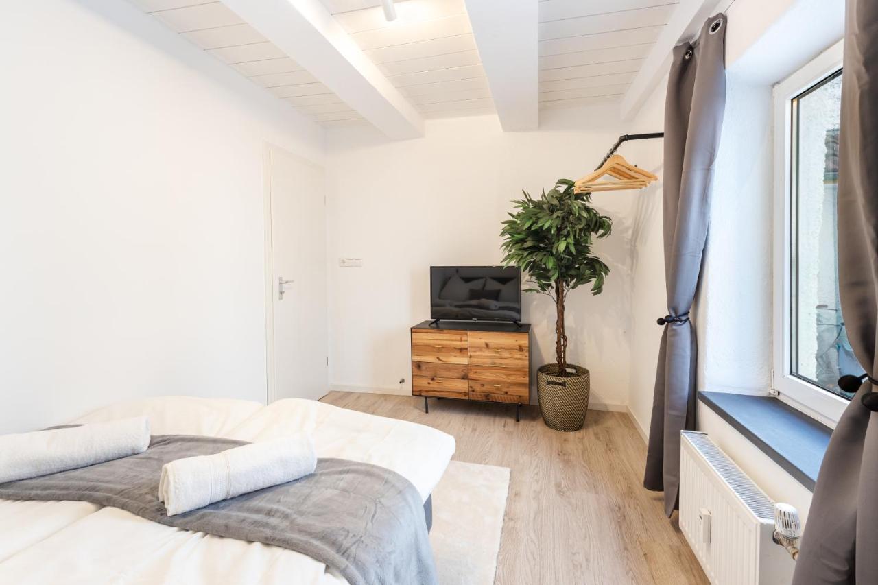 Terrace Apartment With 5 Rooms, Whirlpool And Bbq Augsburg Bagian luar foto